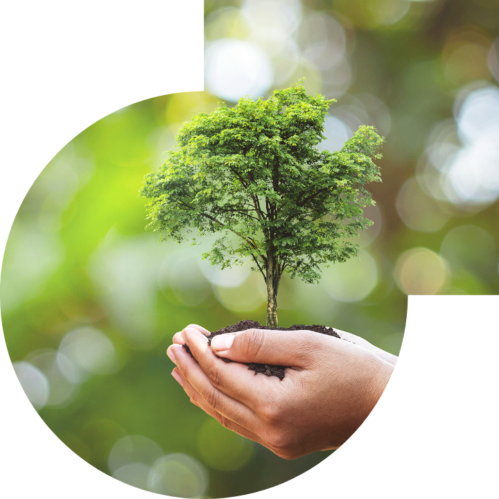 關懷人類、文化、環境與社會